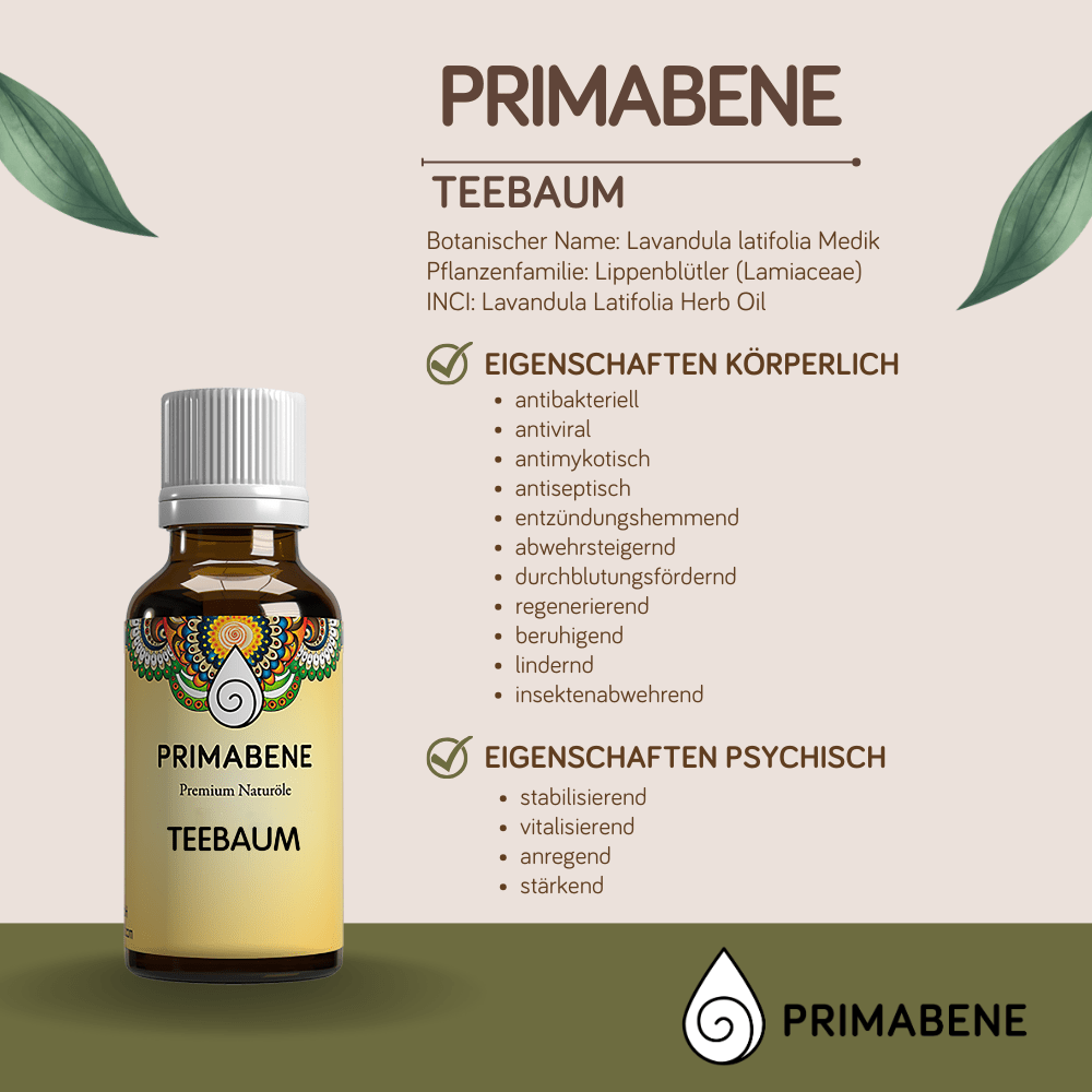 Bild von Teebaum  , 100% rein ätherisches Öl